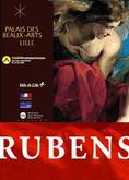 L’exposition Rubens accueille 313 424 visiteurs